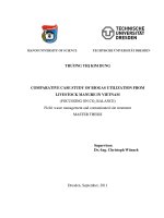 comparative casestudy of biogas utilization from livestock manure in vietnam (focussing on co2 balance