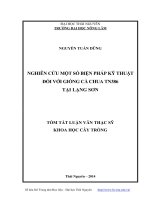nghiên cứu một số biện pháp kỹ thuật đối với giống cà chua tn386 tại lạng sơn