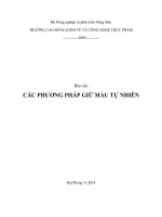 Báo cáo các phương pháp giữ màu tự nhiên