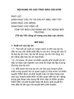 CÁU TRÚC báo cáo đánh giá tác động môi trường