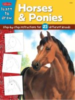 learn to draw horses and ponies