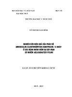 Nghiên cứu hiệu quả của phác đồ amoxicillin-clarithromycin-rabeprazole 14 ngày ở các bệnh nhân viêm dạ dày mạn có nhiễm helicobacter pylori