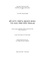 Số lũy thừa hoàn hảo và giả thuyết pillai