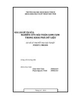 nghiên cứu bài toán gom cụm dữ liệu