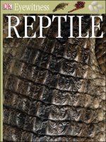 eyewitness reptile
