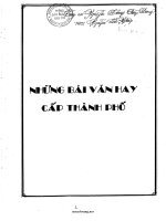 Những bài văn hay cấp thành phố