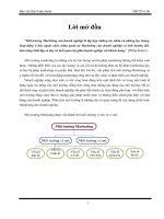 báo cáo môi trường makerting