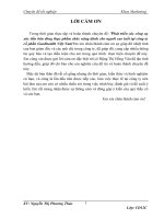 phát triển các công cụ xúc tiến bán dòng thực phẩm chức năng dành cho người cao tuổi tại công ty cổ phần goodhealth việt nam