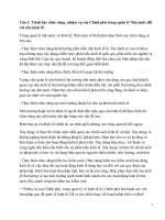 thi công chức - đề cương - kho bạc