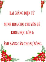 BÀI GIẢNG điện tử MINH họa CHO CHUYÊN đề KHOA học lớp 4  ÁNH SÁNG cần CHO sự SỐNG