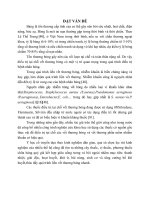 nghiên cứu hiệu quả kháng pseudomonas aeruginosa và staphylocous aureus của cao lô hội trên thực nghiệm