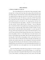 Đánh giá sự hài lòng của các nhà đầu tư tại Khu công nghiệp Tân Đông Hiệp –Thị xã Dĩ An, tỉnh Bình Dương