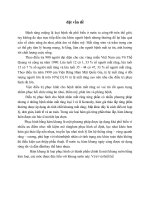 nhận xét hiệu quả của mó chữ t và móc nally martinet trong phục hình hàm khung điều trị mất răng loại kennedy i ii