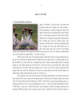 Một số giải pháp góp phần phát triển du lịch sinh thái bền vững tại Vườn quốc gia Tràm Chim, huyện Tam Nông, tỉnh Đồng Tháp