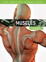 the amazing human body muscles