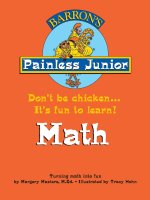 painless junior math