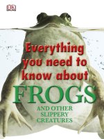 everything you need to know about frogs