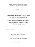 xác định chỉ thị phân tử cho các dòng hoa cúc đột biến do chiếu xạ và đánh giá tính ổn định di truyền của chúng qua các thế hệ in vitro bằng kỹ thuật rapd