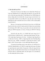 Quản lý Nhà nước đối với hoạt động tín dụng của các ngân hàng thương mại ở Việt Nam