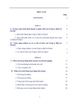 báo cáo tổng hợp về công ty điện tử hà nội - hanel