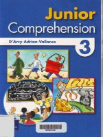 junior comprehension 3