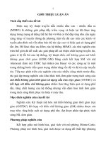 TỔNG QUAN VỀ KÊNH MIMO VÀ MÃ KHỐI KHÔNG GIAN THỜI GIAN CẤU TRÚC TRỰC GIAO