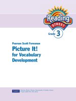 picture it for vocabulary development grade 3