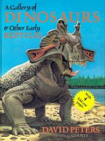 a gallery of dinosaurs and other early reptiles