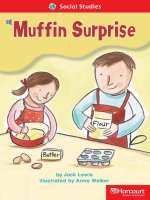 social studies muffin surprise