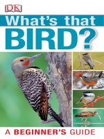 what is that birds a beginner''''s guide