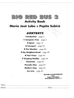 big red bus level 3 activity book