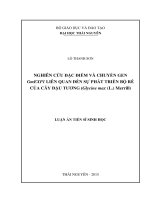 nghiên cứu đặc điểm và chuyển gen gmexp1 liên quan đến sự phát triển bộ rễ của cây đậu tương (glycine max (l.) merrill)