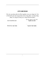 nghiên cứu ảnh hưởng của nhiên liệu diesel sinh học sản xuất tại việt nam đến tính năng kinh tế - kỹ thuật và phát thải của động cơ