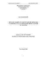 ĐỀ TÀI: Bước đầu nghiên cứu một số chỉ tiêu hình thái và sinh hoá của các giống bưởi trồng tại Nghệ An  Hà Nội