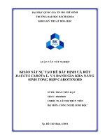 Khảo sát sự tạo rễ bất định cà rốt daucus carota l. Và đánh giá khả năng sinh tổng hợp carotenoid.