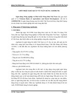 Lựa chọn chiến lược kinh doanh cho Ngân hàng nông nghiệp và phát triển nông thôn giai đoạn 2010  2015