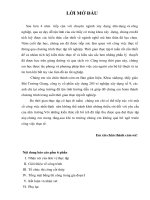 BÁO CÁO THỰC TẬP KỸ SƯ XÂY DỰNG DÂN DỤNG CÔNG TY CP XÂY DỰNG 203