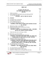 báo cáo đánh giá tác động môi trường (đtm) của mỏ đá cát kết lộc trung xã lộc ninh huyện dương minh
