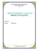 thuyết minh dự án đầu tư trồng cây cọ dầu