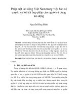 pháp luật lao động việt nam trong việc bảo vệ quyền và lợi ích hợp pháp của người sử dụng lao động