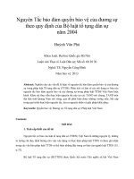 nguyên tắc bảo đảm quyền bảo vệ của đương sự theo quy định của bộ luật tố tụng dân sự năm 2004