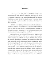đánh giá đặc điểm lâm sàng, cận lâm sàng của sốt dengue và sốt xuất huyết dengue tại khoa nội ii bệnh viện sanh pôn
