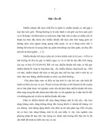 đánh giá mối liên quan giữa nồng độ vitamin d, peptid kháng khuẩn ll-37 ở phụ nữ có thai bị nhiễm khuẩn