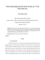 hoàn thiện pháp luật thi hành án dân sự ở việt nam hiện nay