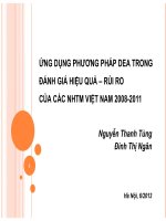 ứng dụng phương pháp dea trong đánh giá hiệu quả  rủi ro của các NHTM việt nam 2008 2011