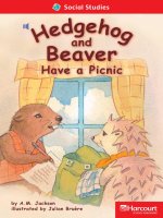 hedgehog and beaver have a picnic