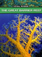 natural wonders the great barrier reef