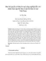 bảo hộ quyền sở hữu trí tuệ công nghiệp đối với nhãn hiệu tập thể theo luật sở hữu trí tuệ việt nam