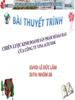 chiến lược kinh doanh sản phẩm mì hảo hảo của công ty vina acecook