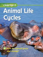 animal life cycles chapter 2